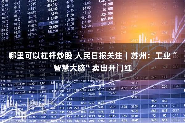 哪里可以杠杆炒股 人民日报关注｜苏州：工业“智慧大脑”卖出开门红