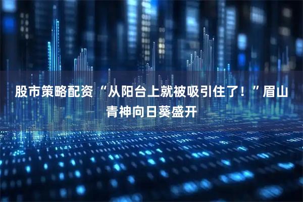 股市策略配资 “从阳台上就被吸引住了！”眉山青神向日葵盛开